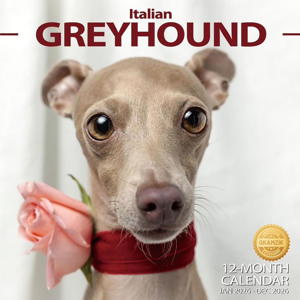 2026 Wall Calendar Golden Retriever Planner Calendar, Hangable Monthly Wall Calendar with Large Blocks for Organizing & Planning, Academic Schedule,