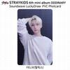 Stray Kids Шестой мини-альбом Oddinary SoundWave Lucky Draw Фотокарточка Polaroid KPOP