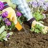 Ручной культиватор Garden Bandit — прочный, простой в использовании, V-образный вилочный наконечник для прополки и удаления почвы, 1 шт.