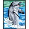 Dolphin Canvas Kit 20x25cm