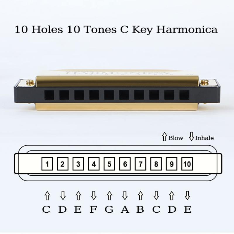 1 шт. Профессиональная 10-дырочная 20-тональная губная гармошка Цветовая тональность C Гармошки с чехлом Рождественский подарок Для начинающих Гармошка