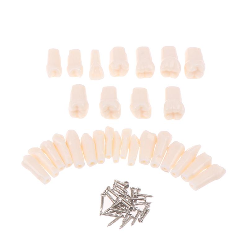 28 шт./компл. стоматологическая смола Typodont, модель зуба, обучающие инструменты для стоматологии