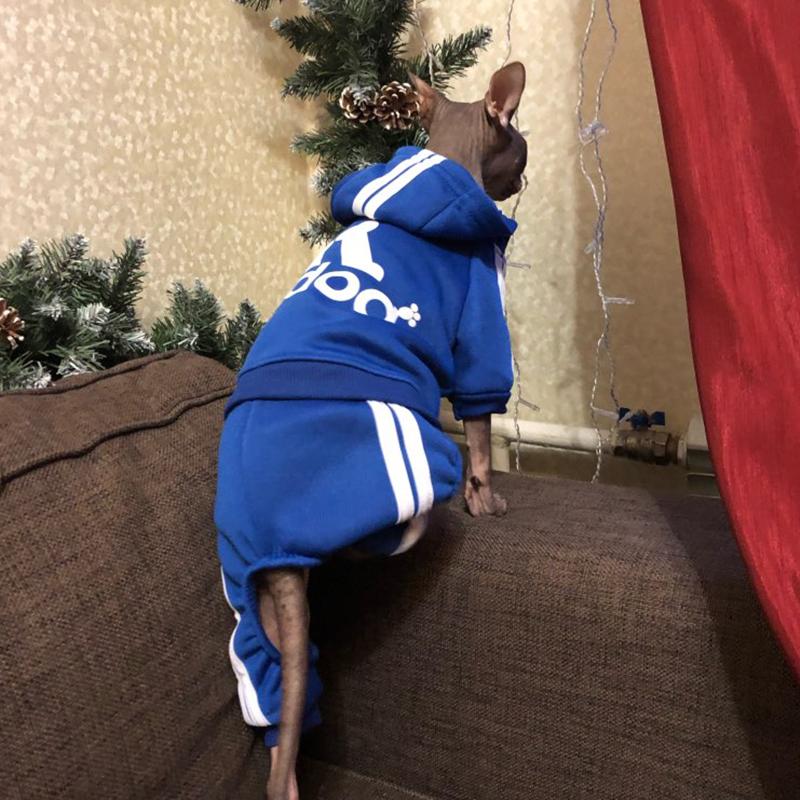 Милый свитер с капюшоном для кошек, зимняя теплая одежда для домашних животных, одежда для кошек, сфинксов, котенков, одежда, Ropa Para gatos Kedi Giyim, товары для домашних животных