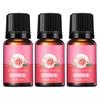 3 коробки 10 мл эфирного масла экстракта розы и имбиря для массажа тела, быстрое впитывание, здоровое, успокаивающее, питающее, контролирующее жирность кожи, сужающее поры, салон красоты