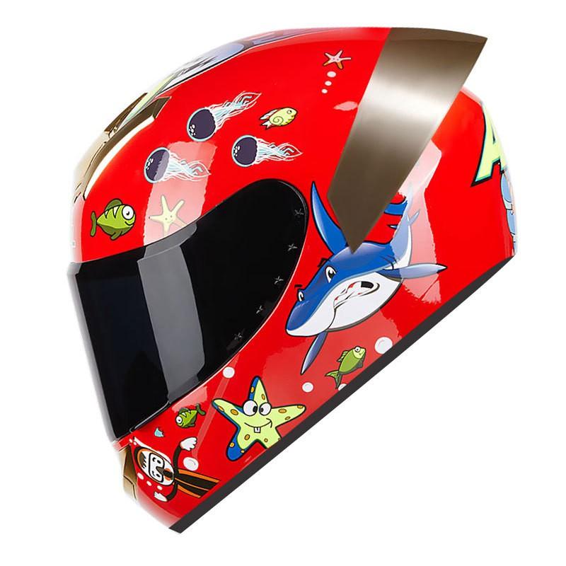Full Face Motorcycle Helmet With Rear Spoiler ABS Certified Adult Riders