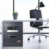 Сейф Deli H480 с отпечатком пальца и паролем