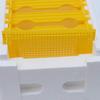 Queen Bee Mating Box Foam Queen Rearing Box Breeding Rearing Copulation Accessory Beekeeping Equipment for Beehive Bee Breeding