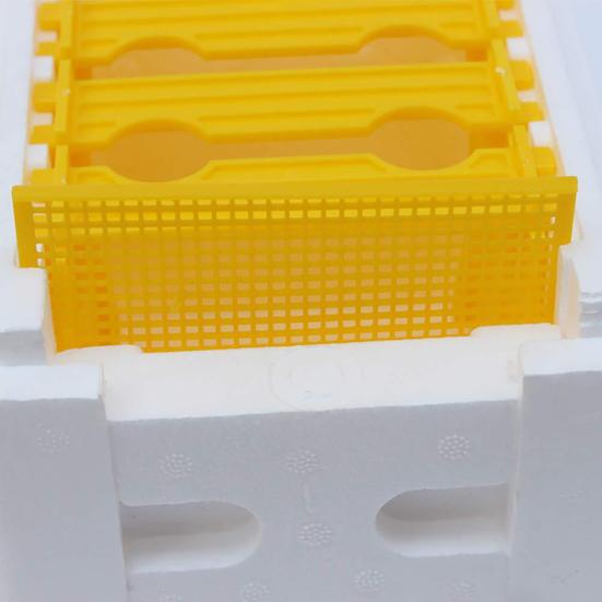 Queen Bee Mating Box Foam Queen Rearing Box Breeding Rearing Copulation Accessory Beekeeping Equipment for Beehive Bee Breeding