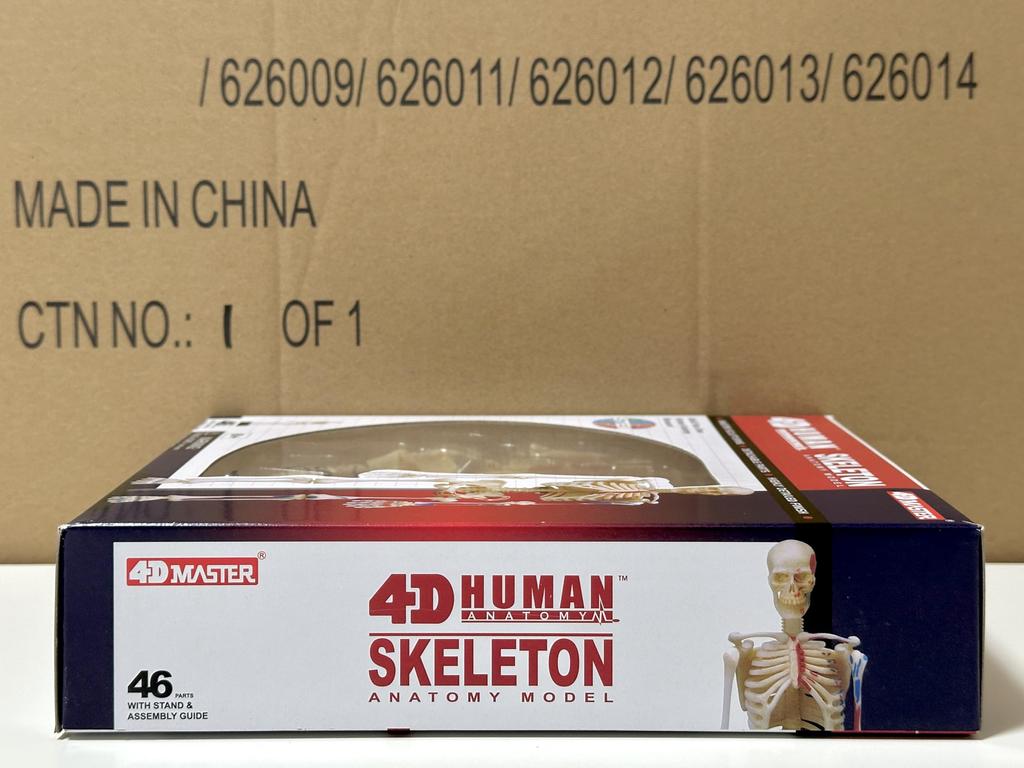 4D Human Skeleton Anatomy Model, 4D Puzzle, 6260011, Fame Master, 4D Master Educational Toy, STEM