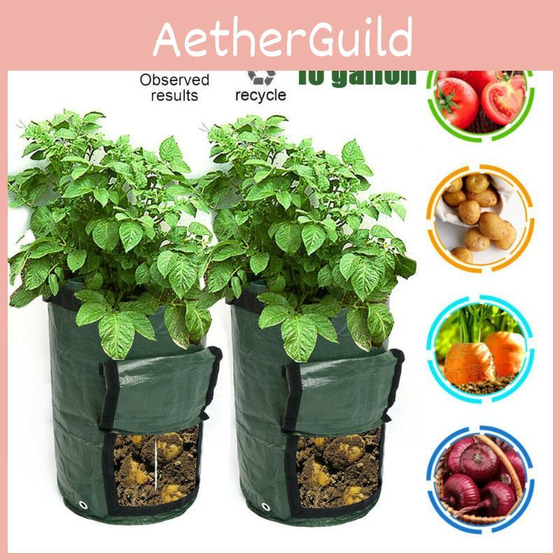 Practical And Lightweight Garden Plant Tools For Homegrown Food On Balconies And Patios