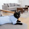 Comfortable Cat Recovery Suit Breathable Pet Jumpsuit Cat Sterilization Suit  Neuter Recovery