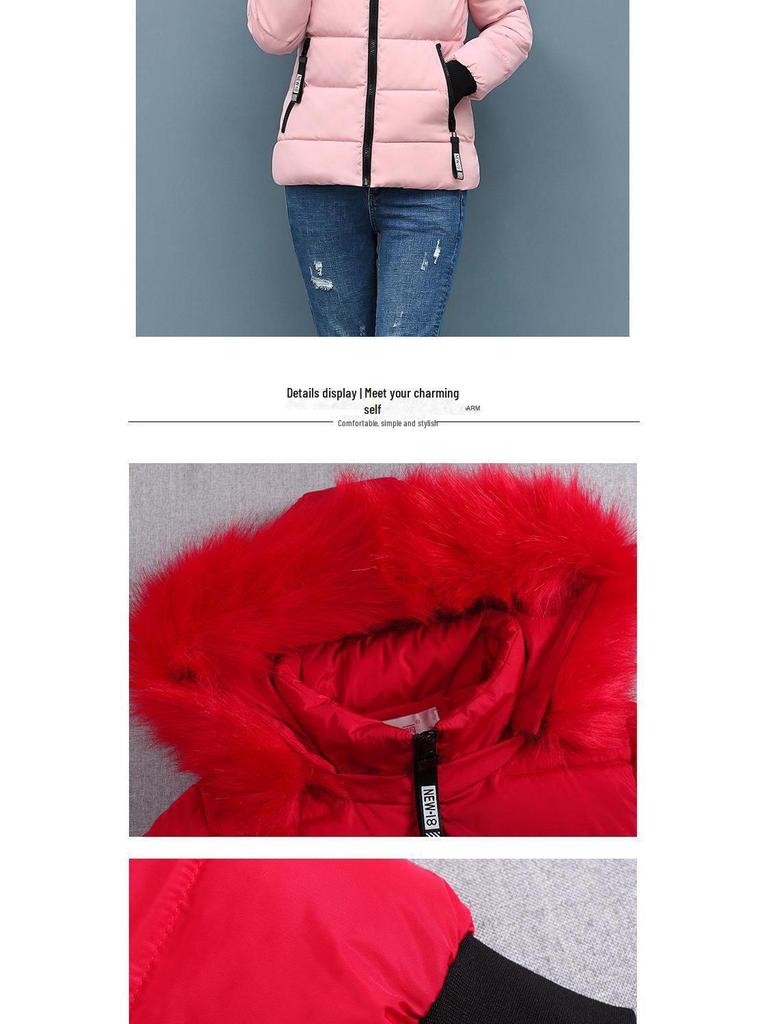 Зимнее студенческое хлопковое пальто 2020 года с большим меховым воротником