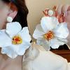 Silver Needle Simulated Flower Drop Earrings Zinc Zinc Alloy Lafite Grass Earrings Flower Earrings  Women