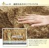 Ikehiko Corporation Rug Carpet tatami Plain Shaggy Style 7 Colors to Choose from Large Beige 130 x 185cm Hot Carpet Compatible 1.5 Approx. #3958709