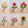 New Animal Crochet Flower Pot Cute Handwoven Flowers Knitting Flower Bookshelf Car Decoration Friends Gifts