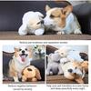 Heartbeat Pet Training & Anxiety Relief Plush Toy for Smart Dogs & Cats