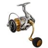Daiwa 21 Freems LT5000-CXH