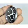42Cts.Natural Septarian Gronates Oval Cabochon Loose Gemstone 25X36X04 MM D-580