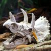Resin Simulated Dinosaur Skull Decorative Animals Skull Decoration Fish Hiding House  Fish Tank