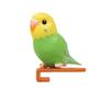 Tarlin capsule toys cute kawaii Parakeet instant Noodle Clip Budgerigar Cockatiel long tail feathers pet birds parrots figures