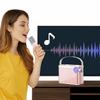 Караоке-колонка с двумя микрофонами Bluetooth 5.3 Беспроводная микрофонная колонка Семейная вечеринка