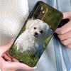 Чехол для телефона Щенячья мальтийская болонка для Samsung Galaxy A34 A54 A14 A53 A33 A13 A12 A32 A52 A15 A25 A35 A55 A71 A51