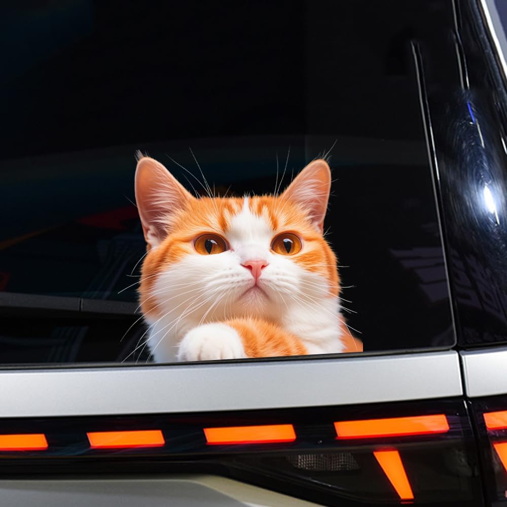Cat Car Window Decals Funny 3D Waterproof Decals,Orange Cat Stickers,PVC Realistic Automotive Sticker, for Refrigerator,Toilet, Wall.Bathroom,1pcs