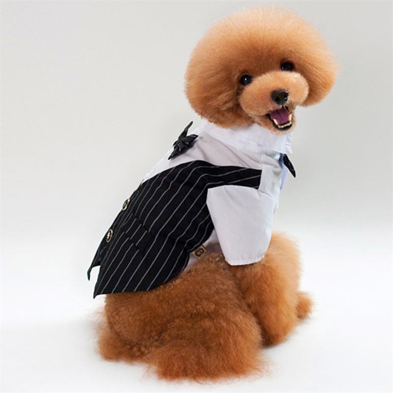 Pet Formal Suit Four‑Legged Jumpsuit, Fashion Pet Clothes, Four‑Leg Outfit for Spring Autumn