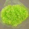 Phantom Flower: Single 20CM Preserved Hydrangea, Handmade Dried Bouquet for Decoration