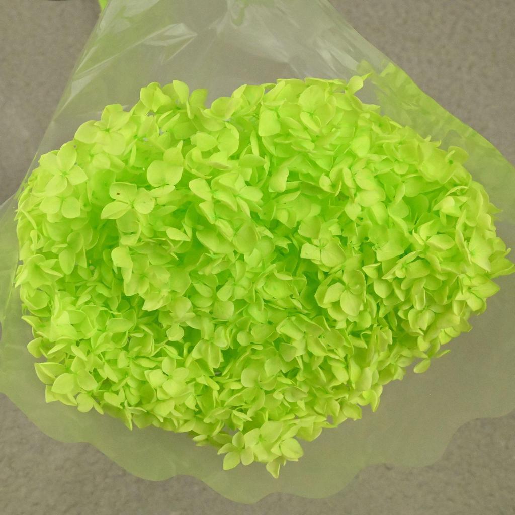 Phantom Flower: Single 20CM Preserved Hydrangea, Handmade Dried Bouquet for Decoration
