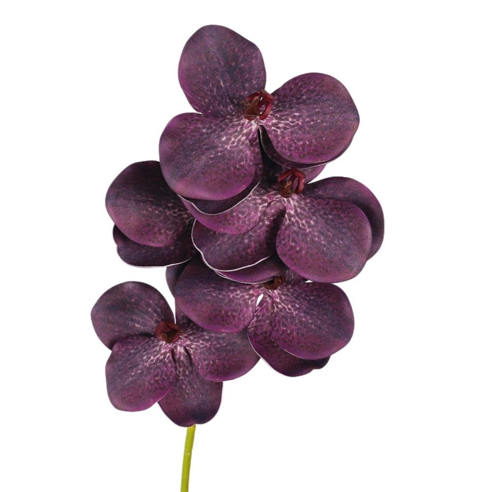 Real Touch Artificial Vanda Orchid Flower Handmade Faux Phalaenopsis  Wedding Party Favors