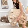 New Solid Color Winter Double-Layer Lamb Wool & Shu Cotton Velvet Blanket