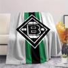 Die Fohlen Print FlAannel Blanket, High quality Comfortable for All Seasons, Home Decor, Warmth and Comfort