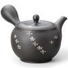 Ceramesh Green Teapot with Made In Japan J-kitchens Tokoname-yaki Strainer, 350cc,