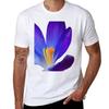 Crocusus T-Shirt Printed T Shirts for Man Man T Shirt Designer T-Shirt