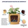 Mini Small Ceramic Plant Pot diameter 19 cm, Glossy Warm Yellow Heart-Ornament Relief, Breathable Drainage Hole for Mini Succulents and Desktop Herbs