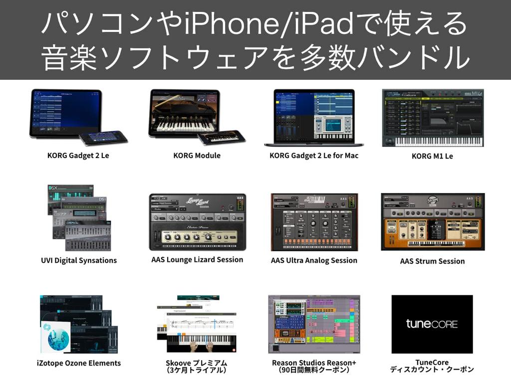 KORG Keytar Synthesizer Stage Keyboard Battery Powered 2BK Translucent Black RK-100S