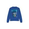 Star Wars Unisex Adult Young Jedi Adventure Nubs Sweatshirt