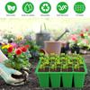 12 сеток, стартовый лоток для семян с дренажными отверстиями, силиконовые биоразлагаемые детские горшки для семян овощей, трав, цветов