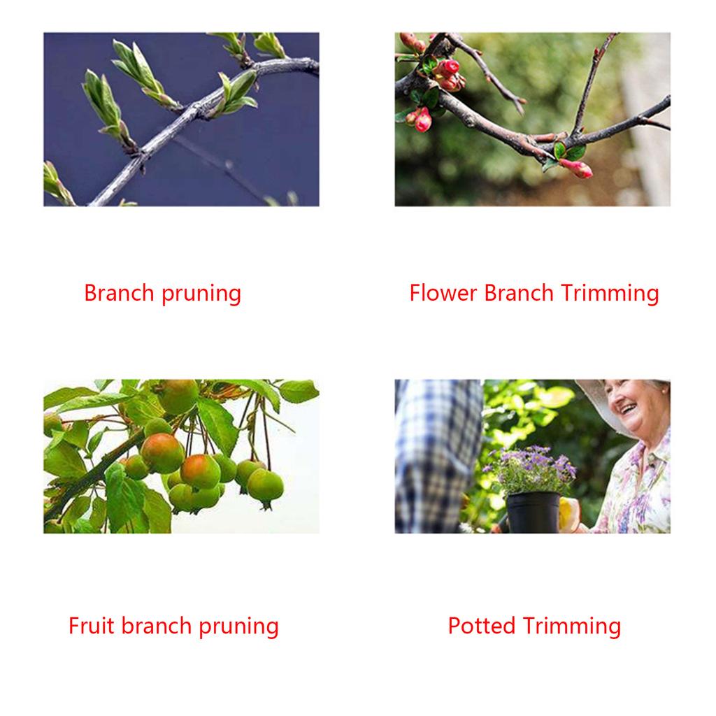 Stainless Steel Multifunctional Pruning Shears Fruit Flower Branch Shears Straight Elbow Garden Gardening Scissors