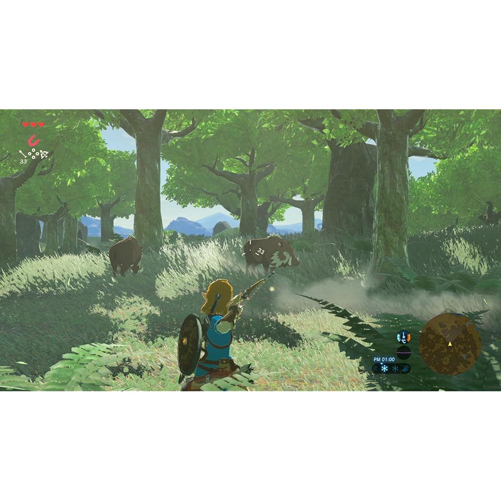 Легенда о Зельде: Breath of the Wild Nintendo Switch 2 Edition -Switch 2