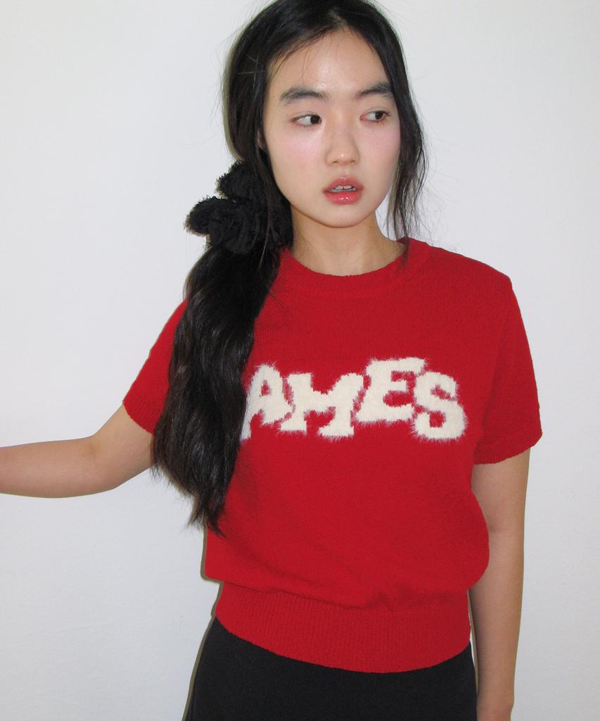 AMES-WORLDWIDE Hairy Logo Short Sleeve Knit Red