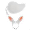 Bunny Ears and Tail Animal for Themed Parties Halloween Party Role Play