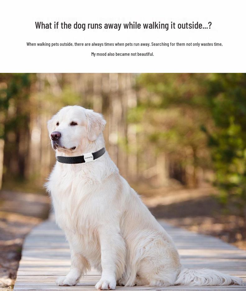 Питомец GPS Локатор и Противопотерянный Трекинговый Ошейник для Собак и Кошек