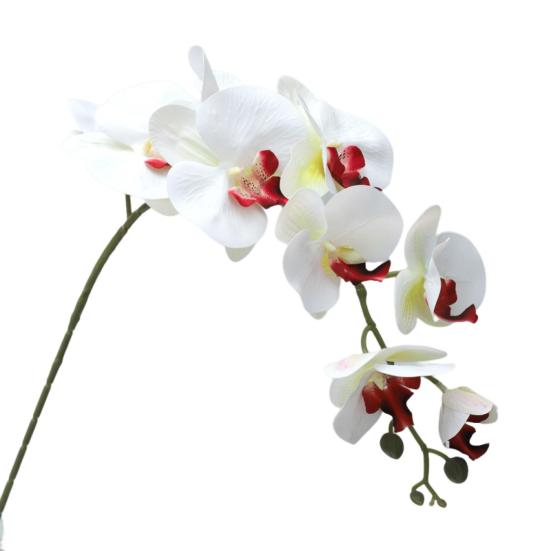 Eco-friendly Artificial Flower Realistic Great Ornamental Simulation Phalaenopsis