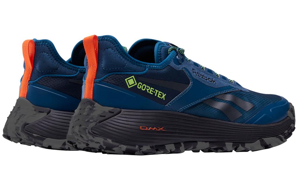 Reebok Dmx Trail GORE-TEX 'Escape Blue' 100200883