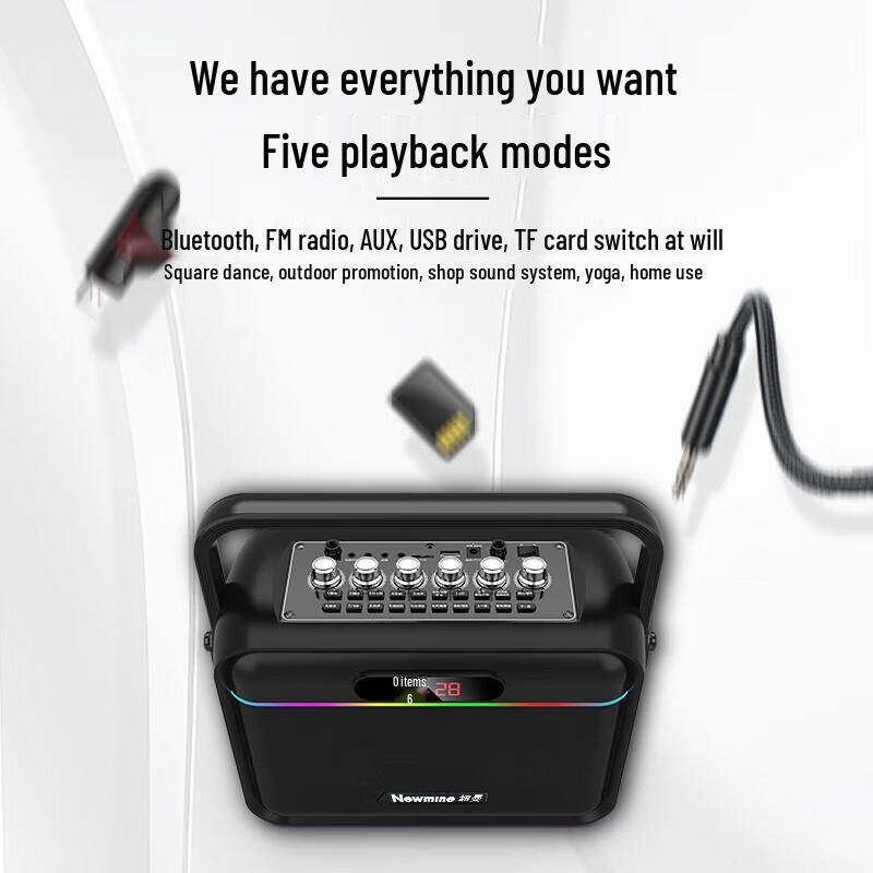 Newman K112 Portable Bluetooth K-Song Speaker with Microphone