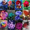DIY Diamond Painting Flower Cross Stitch Kit 5D  Full Drill Embroidery Mosaic Rose Picture Of Rhinestones Gift Home Decor