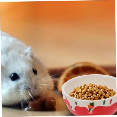 Миска для корма хомяка, кормушка для кролика, миска для воды, керамическая посуда для мелких животных, керамическая миска для домашних животных, миска для кормления морских свинок, принадлежности