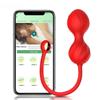 APP Remote Control Vibrator Female Bluetooth G Spot Vibrators for Women Vagina Ball Wear Vibrating Panties Sex Toy for Adults 18